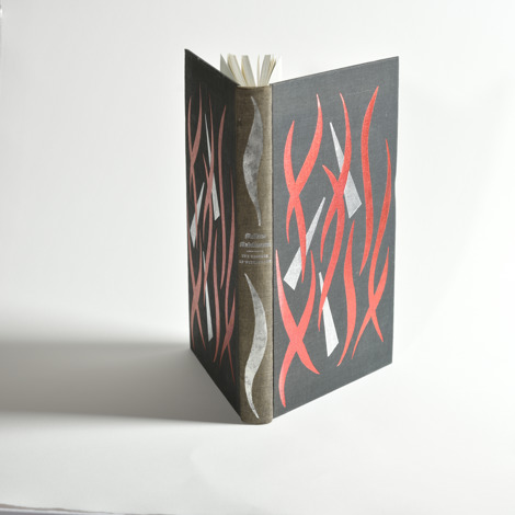 Sunning on spine