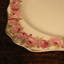 Raby Rose plate detail