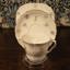 Floral cup, saucer and plate