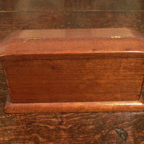 Back view